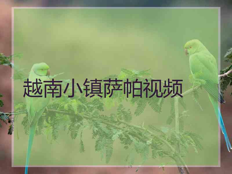越南小镇萨帕视频