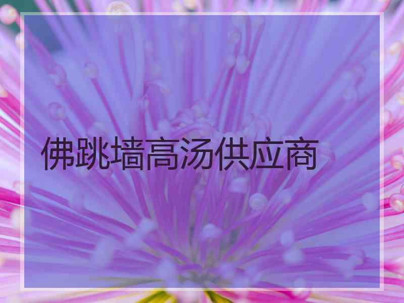 佛跳墙高汤供应商