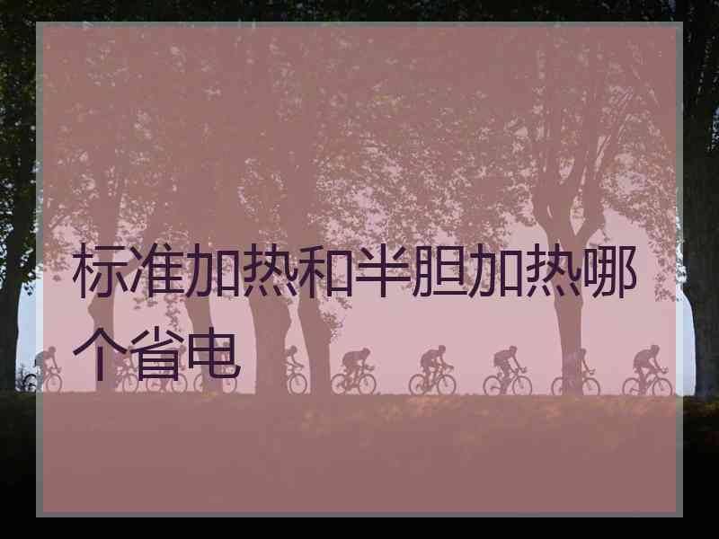 标准加热和半胆加热哪个省电