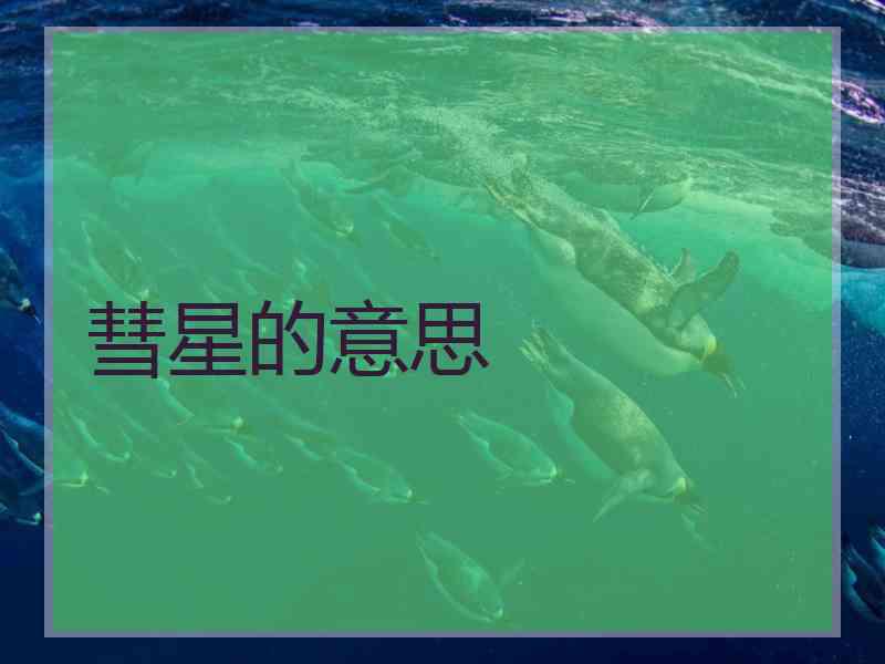 彗星的意思