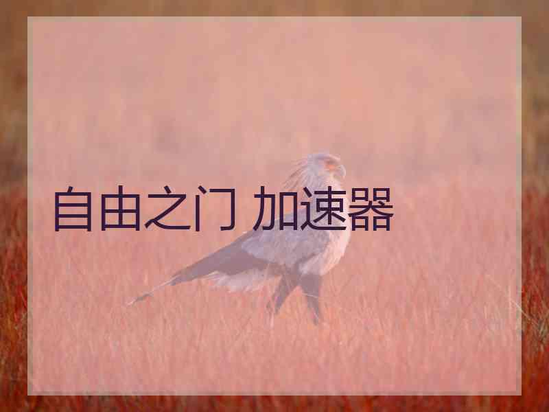 自由之门 加速器
