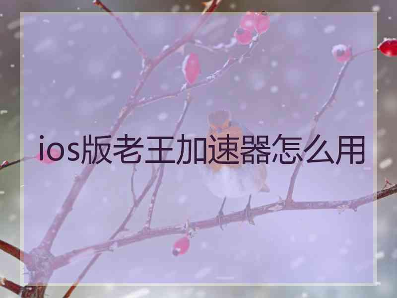 ios版老王加速器怎么用