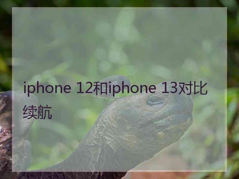 iphone 12和iphone 13对比续航