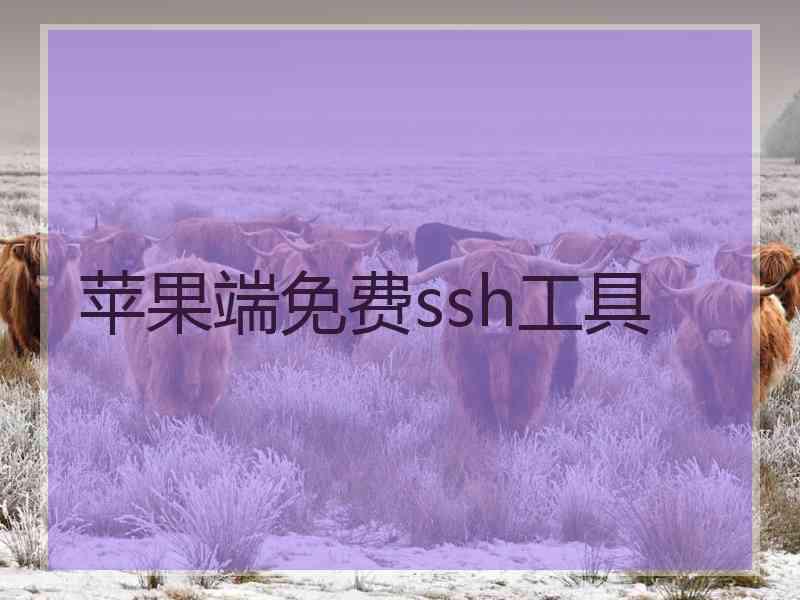 苹果端免费ssh工具