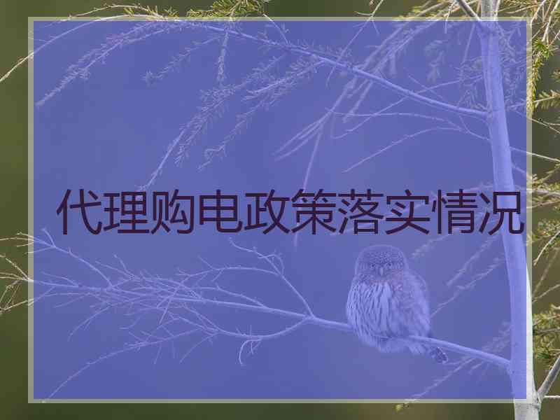 代理购电政策落实情况