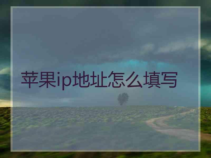 苹果ip地址怎么填写