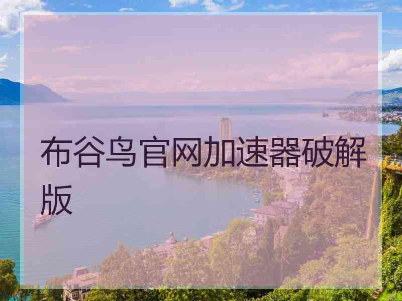 布谷鸟官网加速器破解版