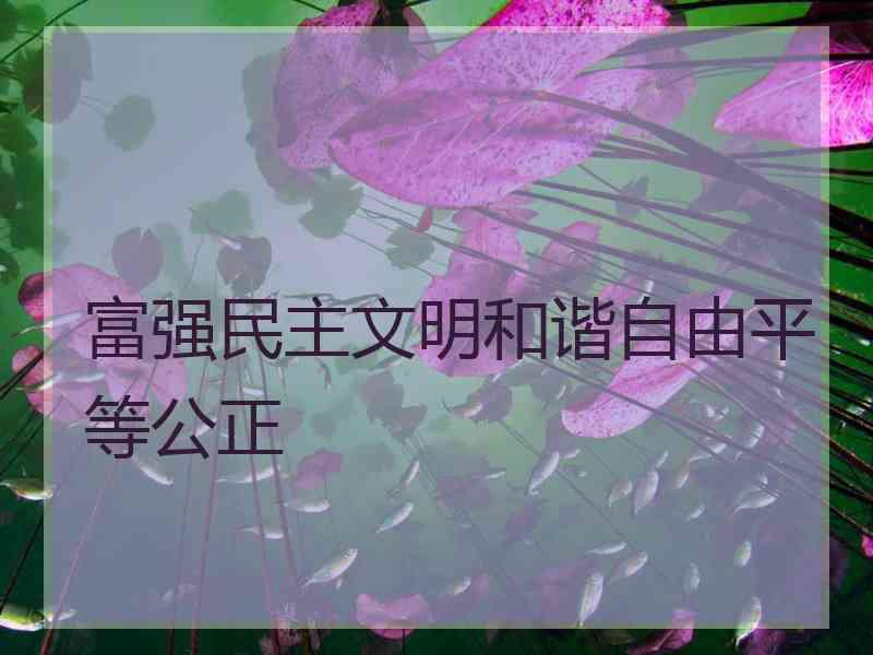 富强民主文明和谐自由平等公正