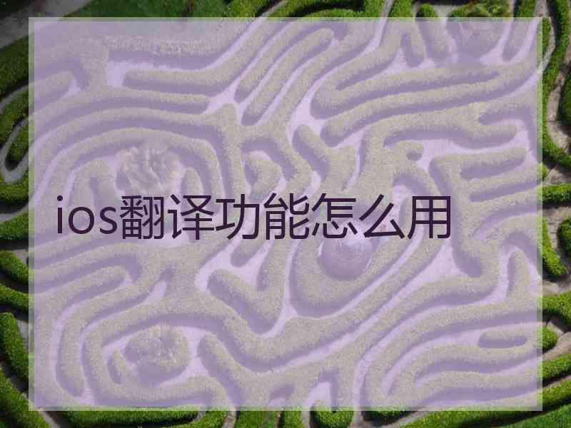 ios翻译功能怎么用