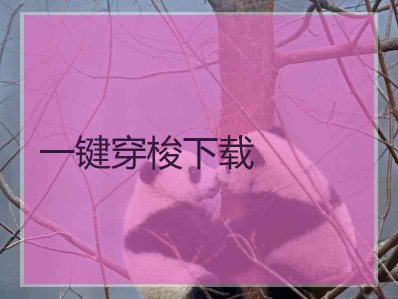 一键穿梭下载