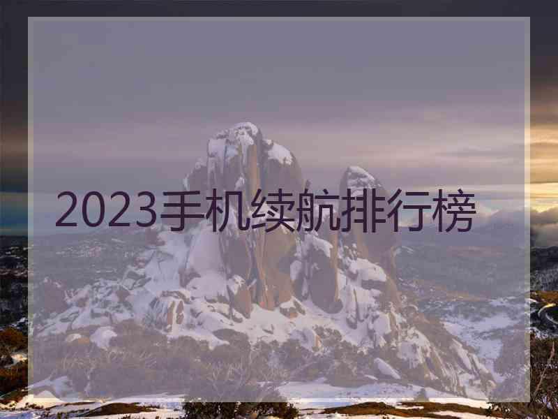2023手机续航排行榜