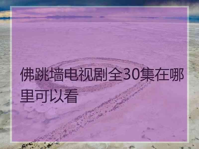 佛跳墙电视剧全30集在哪里可以看