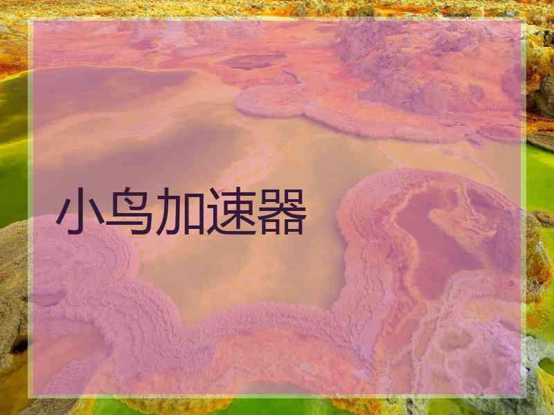 小鸟加速器