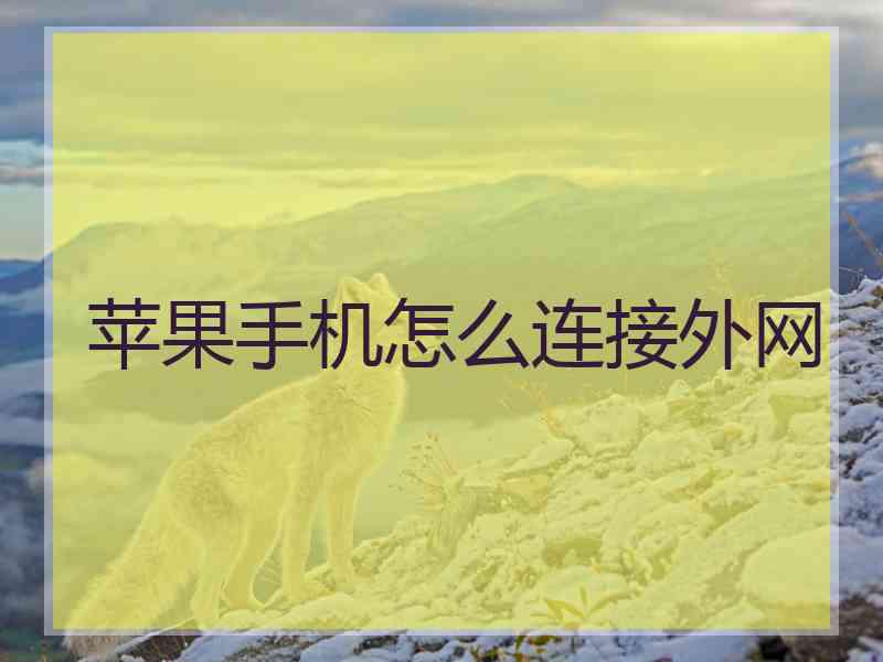 苹果手机怎么连接外网