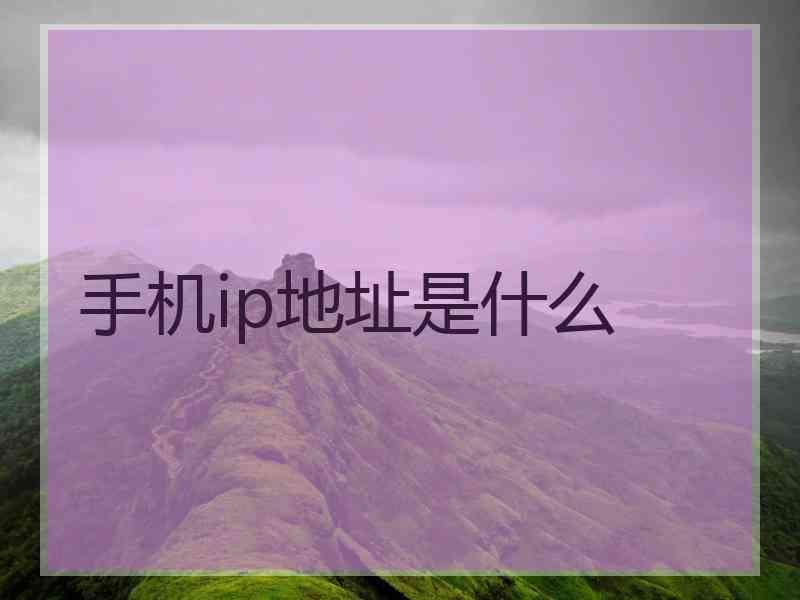 手机ip地址是什么