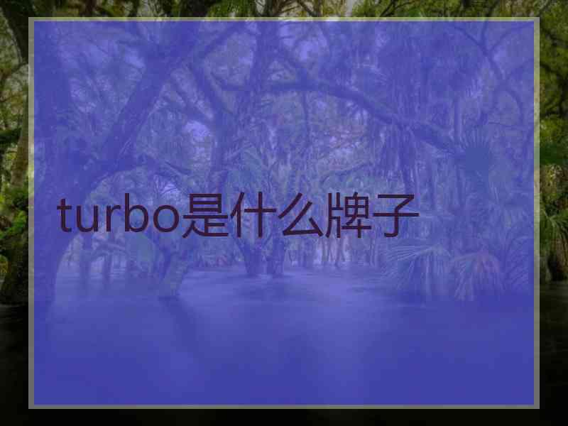 turbo是什么牌子