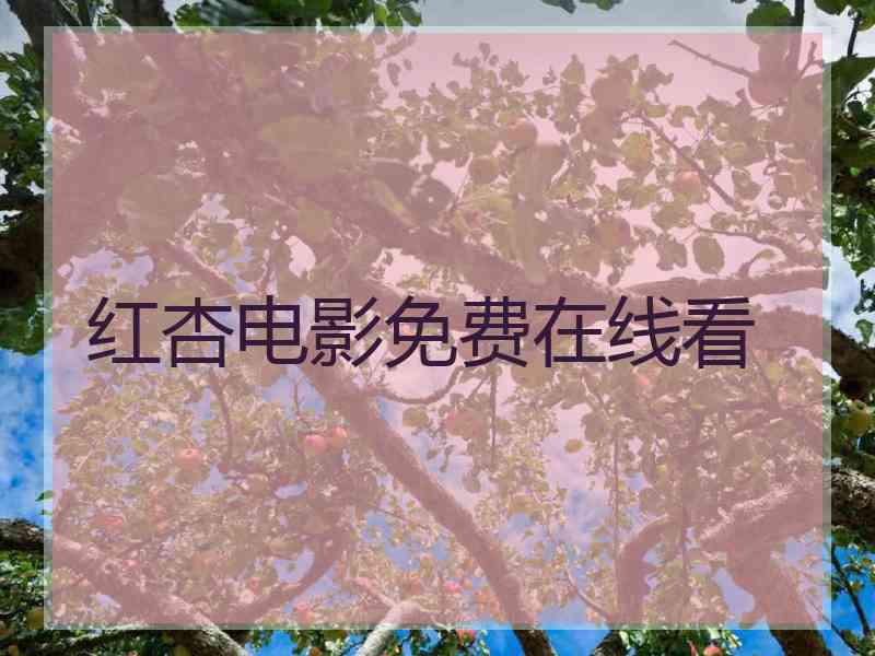 红杏电影免费在线看