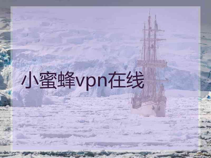 小蜜蜂vpn在线