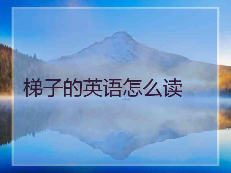 梯子的英语怎么读