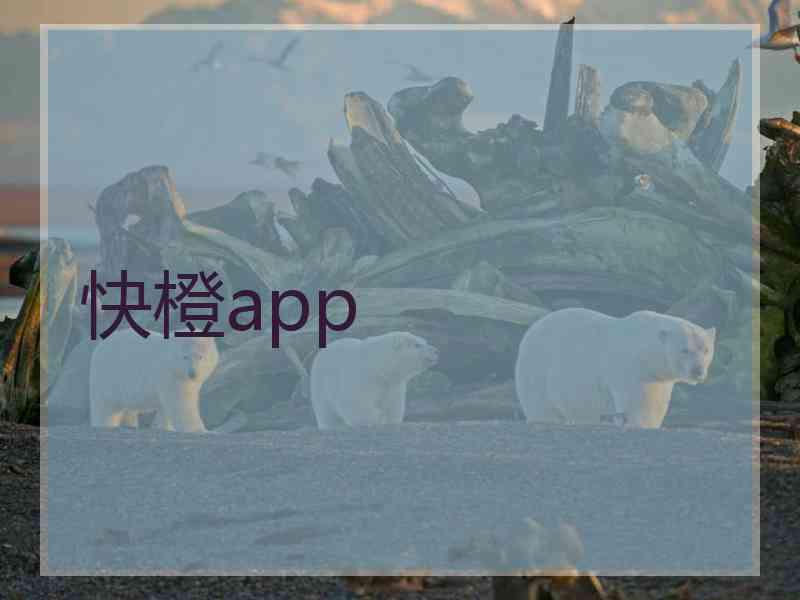 快橙app