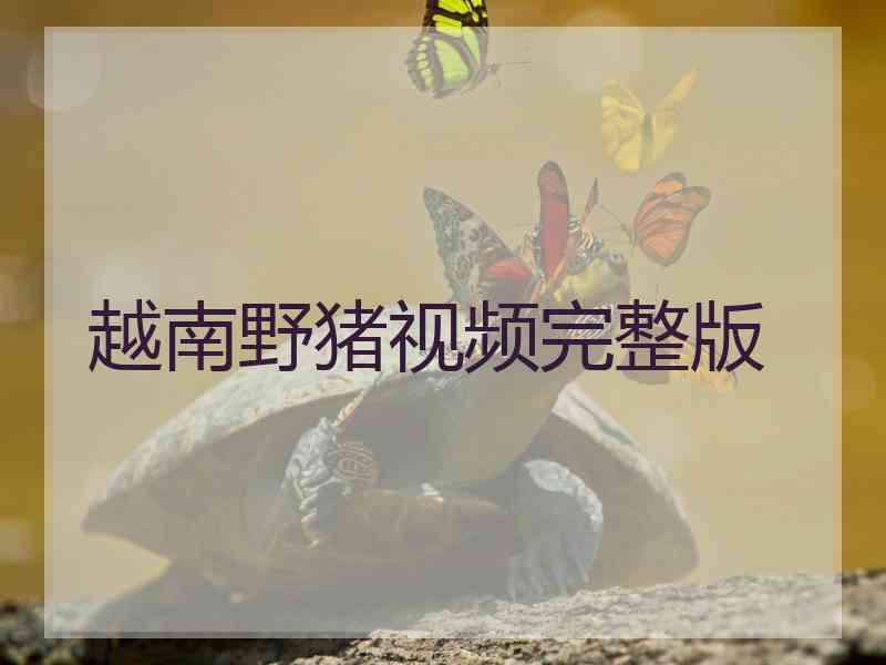 越南野猪视频完整版