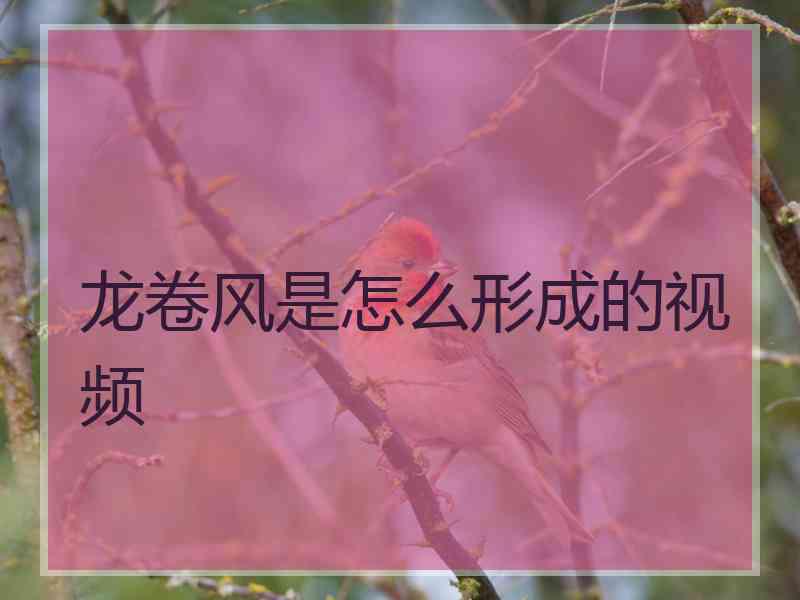龙卷风是怎么形成的视频