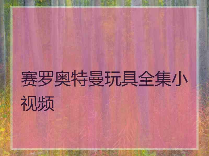 赛罗奥特曼玩具全集小视频