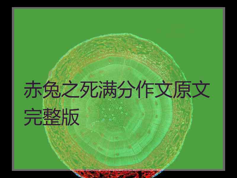 赤兔之死满分作文原文完整版