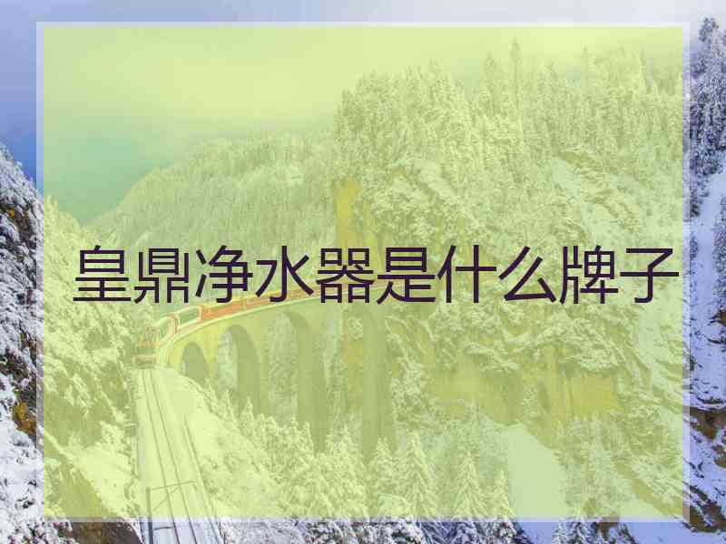 皇鼎净水器是什么牌子