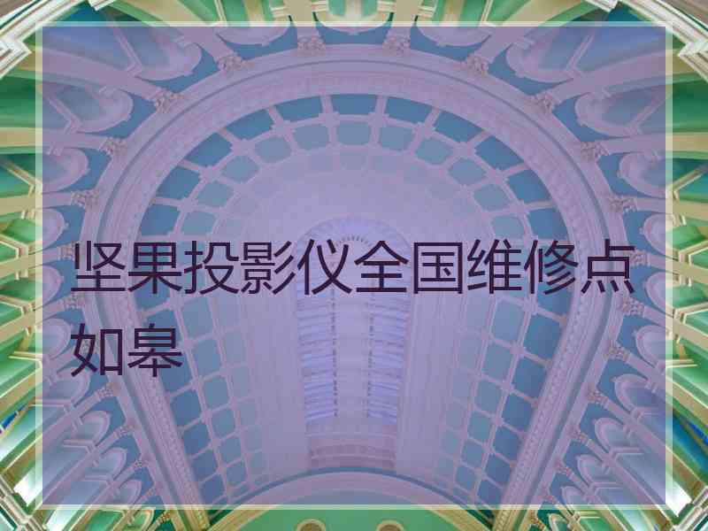 坚果投影仪全国维修点如皋