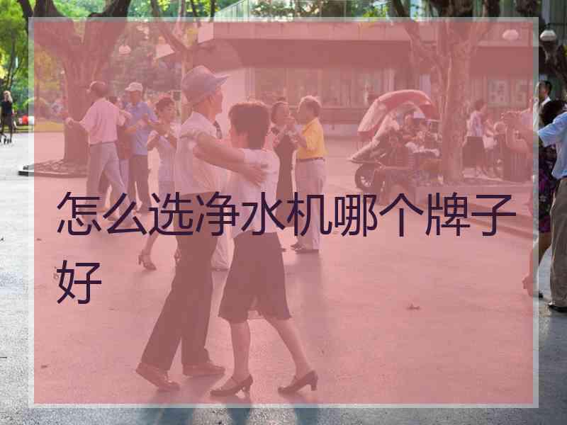 怎么选净水机哪个牌子好