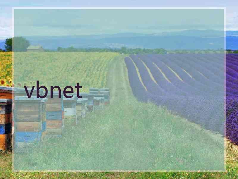 vbnet
