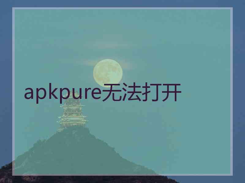 apkpure无法打开
