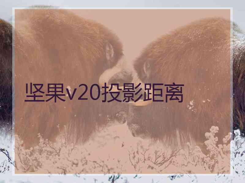 坚果v20投影距离