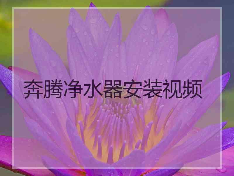 奔腾净水器安装视频