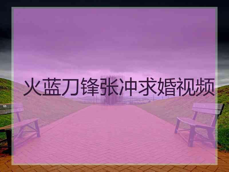 火蓝刀锋张冲求婚视频