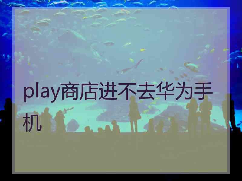 play商店进不去华为手机