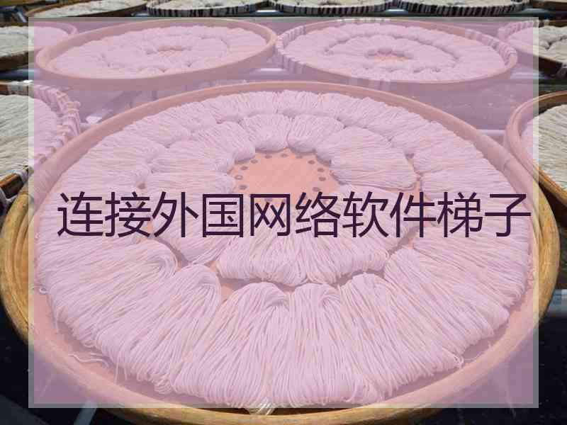 连接外国网络软件梯子