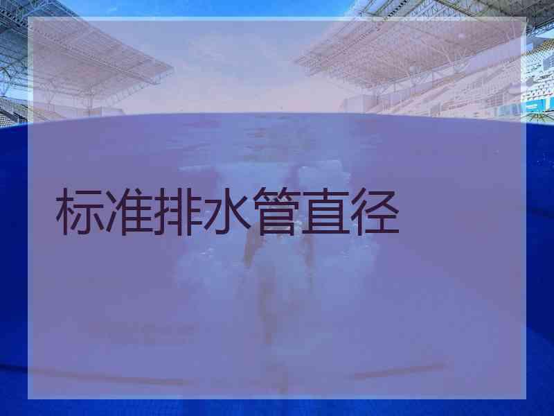 标准排水管直径