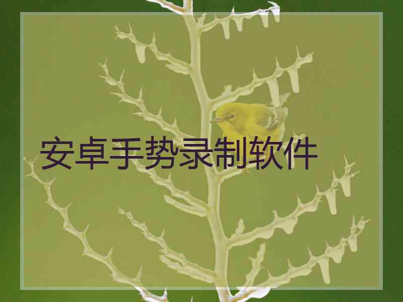 安卓手势录制软件