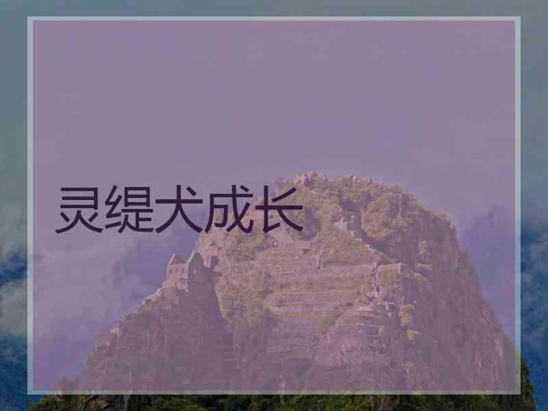 灵缇犬成长