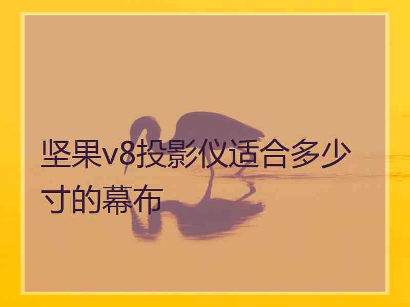 坚果v8投影仪适合多少寸的幕布