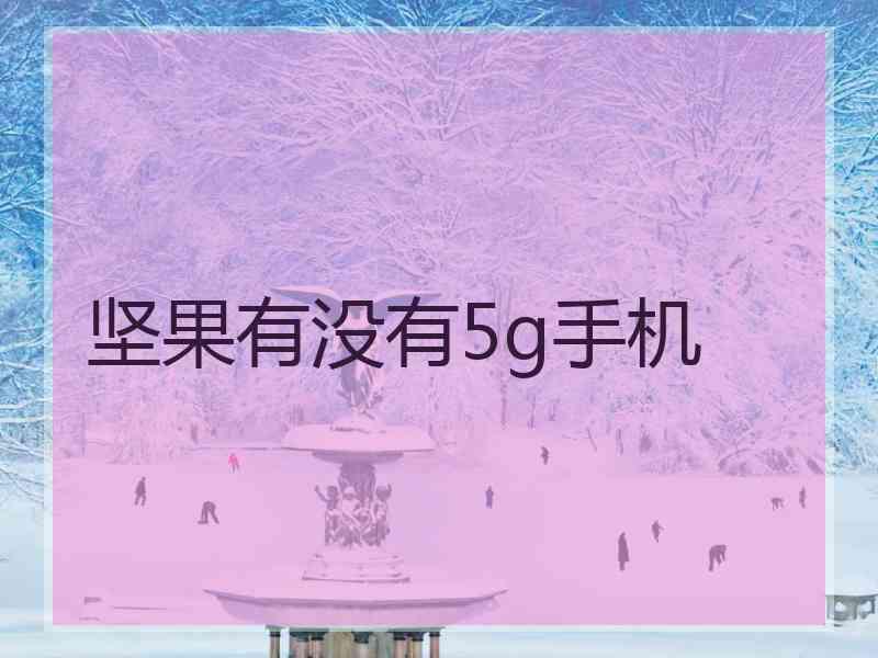 坚果有没有5g手机