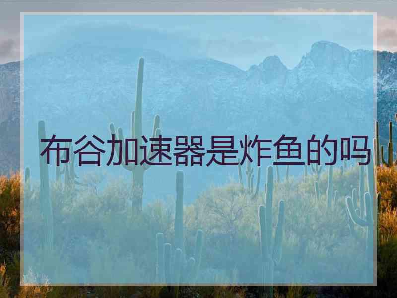 布谷加速器是炸鱼的吗