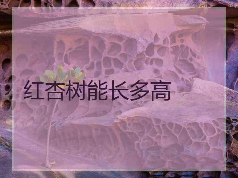 红杏树能长多高