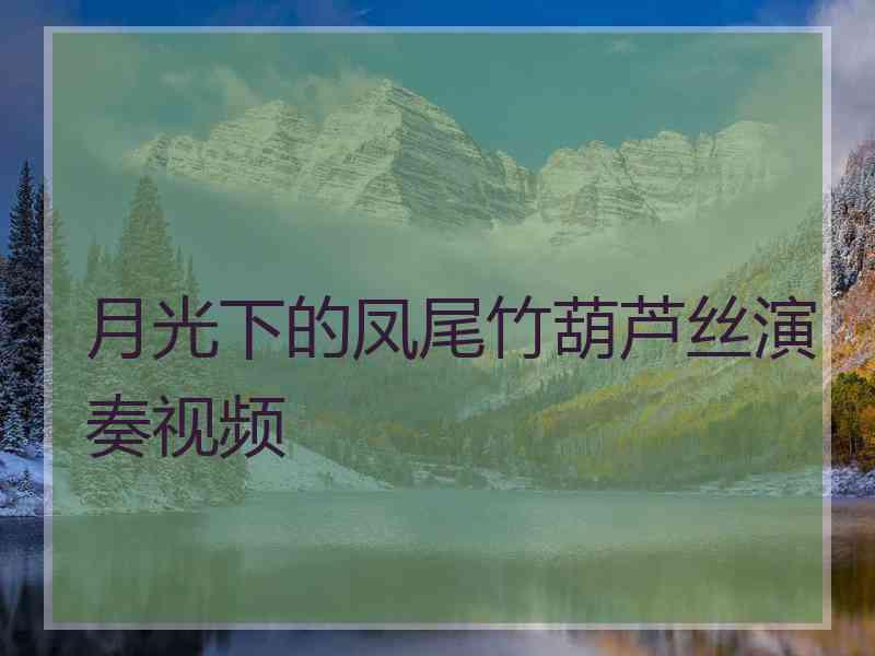 月光下的凤尾竹葫芦丝演奏视频