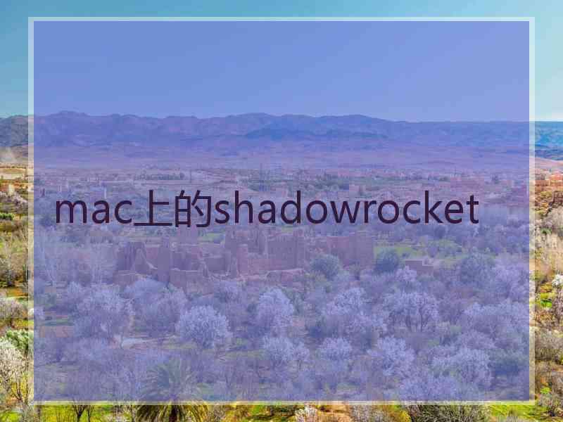 mac上的shadowrocket