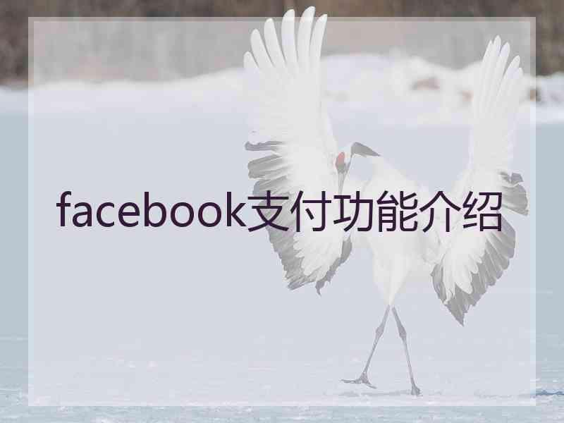 facebook支付功能介绍