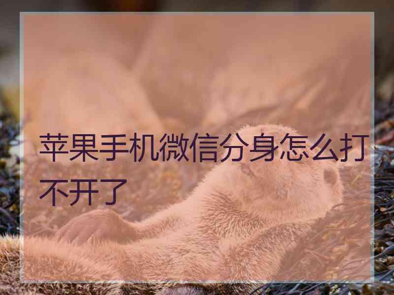 苹果手机微信分身怎么打不开了