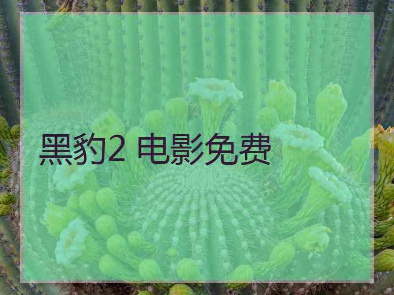 黑豹2 电影免费